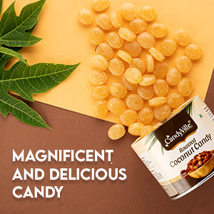 CandyVille Roasted Coconut Candy Tin 340g | Coconut Toffee brittle